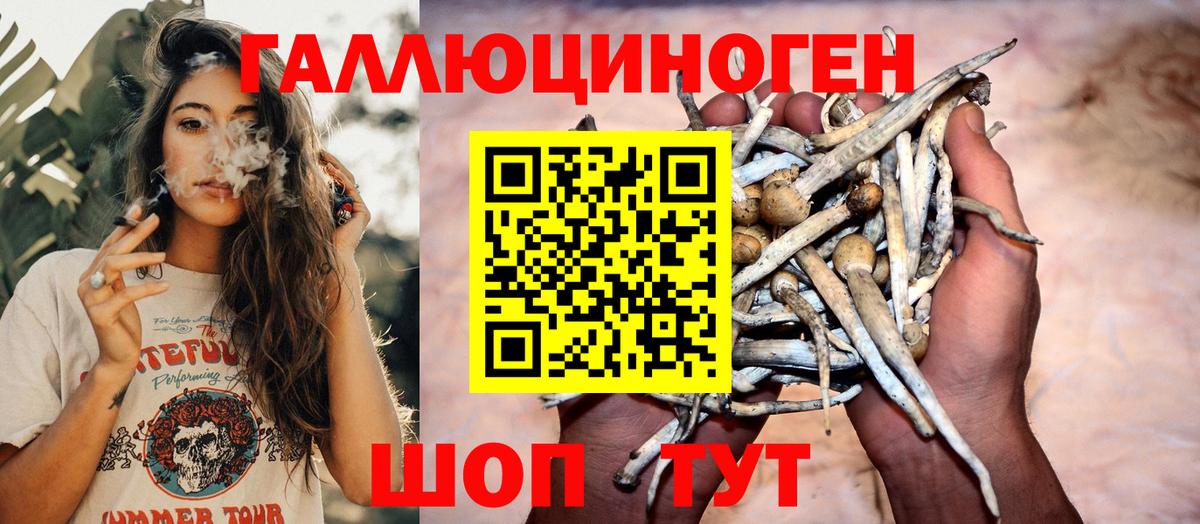 Галлюциногенные грибы Psilocybe  хочу наркоту  Вход с VPN  Сарапул  Псилоцибиновые грибы Psilocybine cubensis 