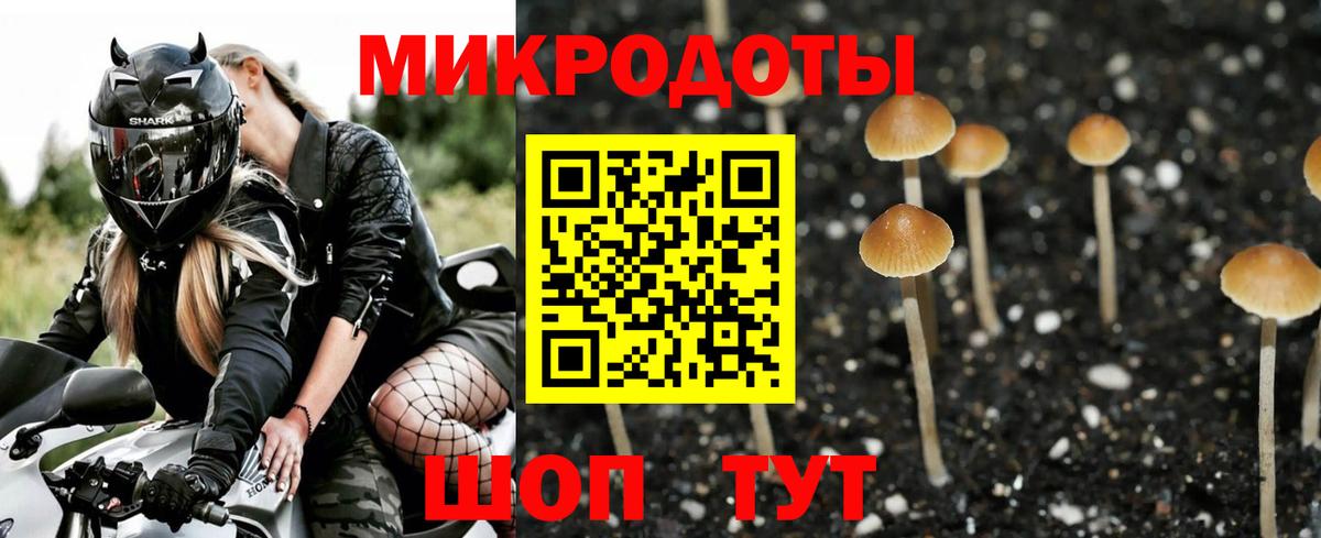 Псилоцибиновые грибы Cubensis Сарапул